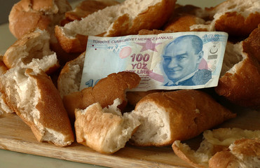 Wall Mural - waste of waste and 100 Turkish lira banknote, waste of waste, waste of stale bread,