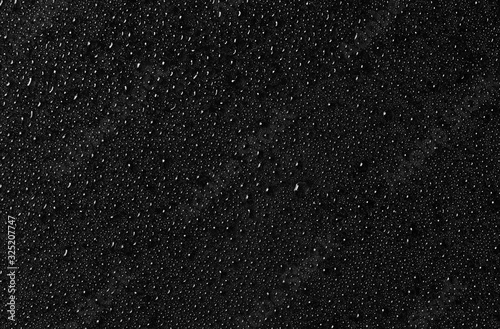 Cuadros en Lienzo Water drops on black glass surface. Texture. Top view