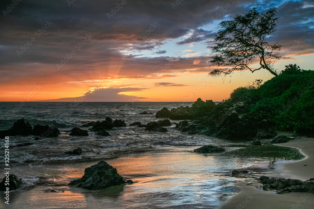 Maui Sunset - obrazy, fototapety, plakaty 