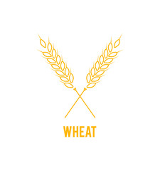 Wall Mural - Vector logo design and elements of wheat grain. Line style logotype template with wheat. Easy to use business template.
