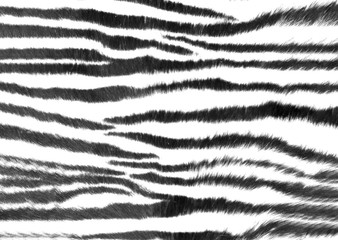 Wall Mural - abstract zebra skin print design