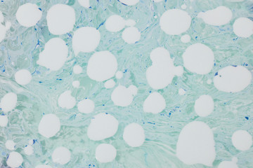 Poster - polka dot painting background 