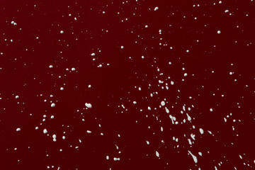 Poster - polka dot painting background 