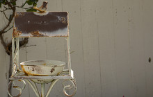 Vintage Bird Feeder Free Stock Photo - Public Domain Pictures