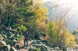 © Sevendeman - Woman hike through mountain and beautiful nature of forest.