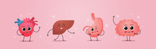 Funny Anatomical Mascot Heart Liver Stomach Brain Characters Cute Human Body Internal Organs Anatomy Healthcare Medical Concept Horizontal Vector Illustration