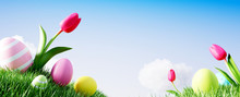 Easter Background Colorful Eggs And Tulip On Meadow With Beautiful Sky. 3d Rendering