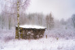 A windowless house next to a birch tree on a snowy landscape