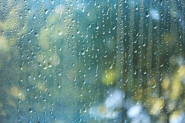 Wall Mural - spring day in the park / view of the spring landscape in the park through the window, raindrops on t