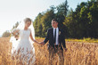 Young wedding couple standing in a field of pigweed in the setting sun. Newlyweds hug with a smile.