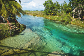 seven colored lagoon surrounded by tropical plants in bacalar, quintana roo, mexico