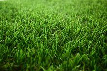 Green Grass Turf Floor Artificial