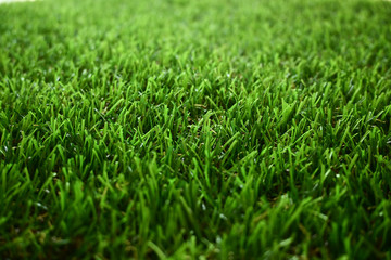 green grass turf floor artificial