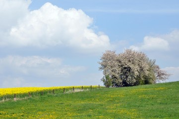 Poster - Wandern um Schmannewitz