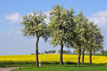 Poster - Wandern um Schmannewitz