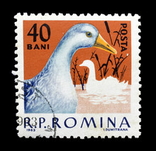 Cancelled Postage Stamp Printed By Romania, That Shows Domestic Animals, Circa 1963.