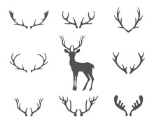 Black Silhouettes Of Different Deer Horns, Vector