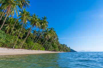 Sandy beach of a paradise deserted tropical island. Palm trees overhang on the beach. White sand. Blue water of the ocean. Rest away from people