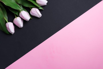 Canvas Print - Bouquet of tulips on a black and pink pastel background with place for text.