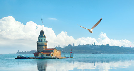 Wall Mural - Istanbul at day