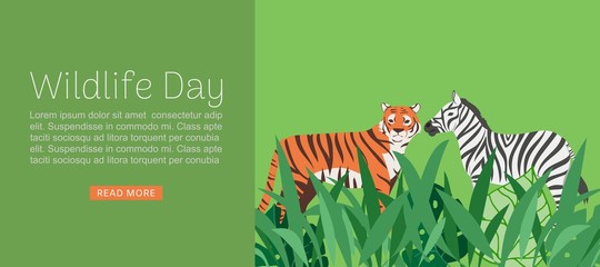 wildlife day web banner vector illustration. cartoon wild tiger and zebra with abstract african jung