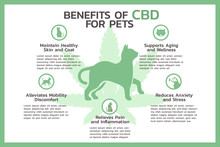 Benefits Of CBD For Pets Infographic, Healthcare And Medical About Cannabis, Hemp, Marijuana, And Weed, Vector Flat Symbol Icon Illustration In Horizontal Design