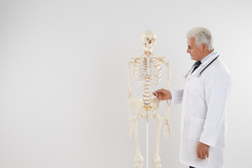 Sticker - Senior orthopedist with human skeleton model against light background. Space for text