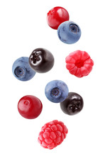 Falling Blueberries, Chokeberry, Raspberry And Cranberry Isolated On White Background With A Clipping Path.