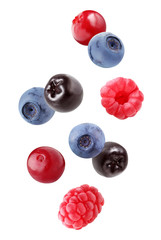 falling blueberries, chokeberry, raspberry and cranberry isolated on white background with a clipping path.