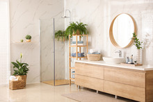 Stylish Bathroom Interior With Countertop, Shower Stall And Houseplants. Design Idea