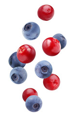 Wall Mural - falling blueberries and cranberries isolated on white background with a clipping path.