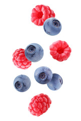 Wall Mural - falling blueberries and raspberries isolated on white background with a clipping path.