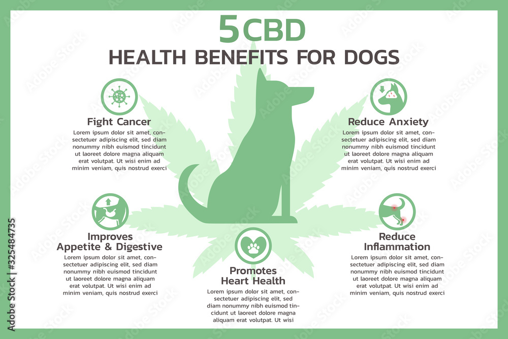 Vector de Stock five CBD health benefits for dogs infographic, healthcare  and medical about cannabis, hemp, marijuana, and weed, vector flat symbol  icon illustration in horizontal design | Adobe Stock