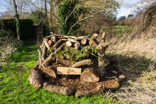 Bug Hotel.  A Construction Of Logs, Branches And Woodchips Made By A Local Youth Club To Provide A Suitable Environment For Wild Insects In Holt Wiltshire