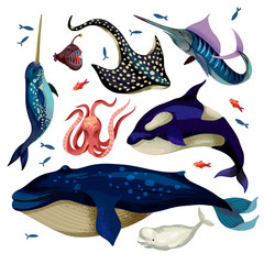 Marine life such as whale, stingray, killer whale, octopus and others isolated.