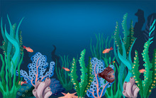 Vector Illustration Of The Seabed With Fish And Marine Plants.