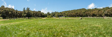 Super Wide Panorama Of Picnic Barbecua Area In The Center Of The Unique Relict Forest Of National Park Surrounded By Young Green Grass. Laguna Grande, La Gomera, Canary Islands
