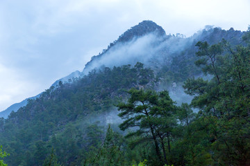 Wall Mural - mist in mountains