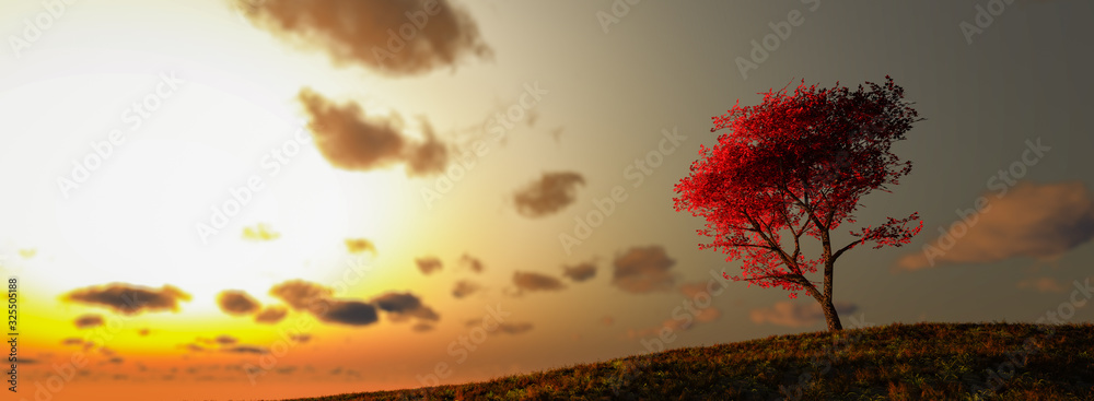 lonely tree in a cultivated field - obrazy, fototapety, plakaty 