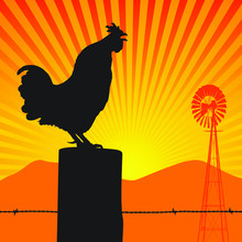 Vector Silhouette Of A Rooster Crowing At The Morning Sunrise.