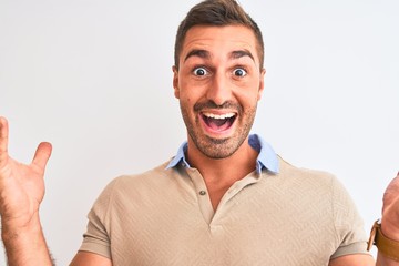 Wall Mural - Young handsome man wearing elegant t-shirt over isolated background very happy and excited, winner expression celebrating victory screaming with big smile and raised hands