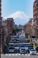 Wall Mural - 東久留米駅、富士見テラスから見える富士山