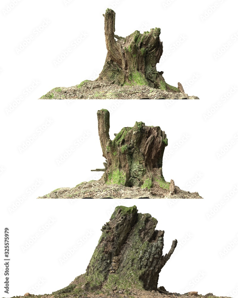 Stump dead tree isolated on white 3d illustration Stock Illustration ...
