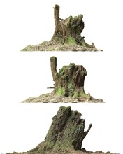 Stump Dead Tree Isolated On White 3d Illustration