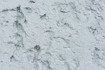 Poster - wall texture background 