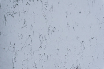 Poster - wall texture background 