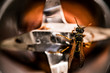 A wasp sits on a blender knife