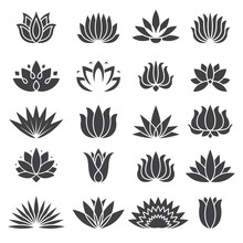 Lotus Icon. Botanical Logo For Beauty Salon Tropical Plants Vector Stylized Set. Black White Lotus Blossom, Plant Tropical Illustration