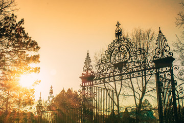 Wall Mural - A Gate Into a Gate Community