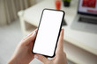 © DenPhoto - female hands holding phone with isolated screen and laptop
